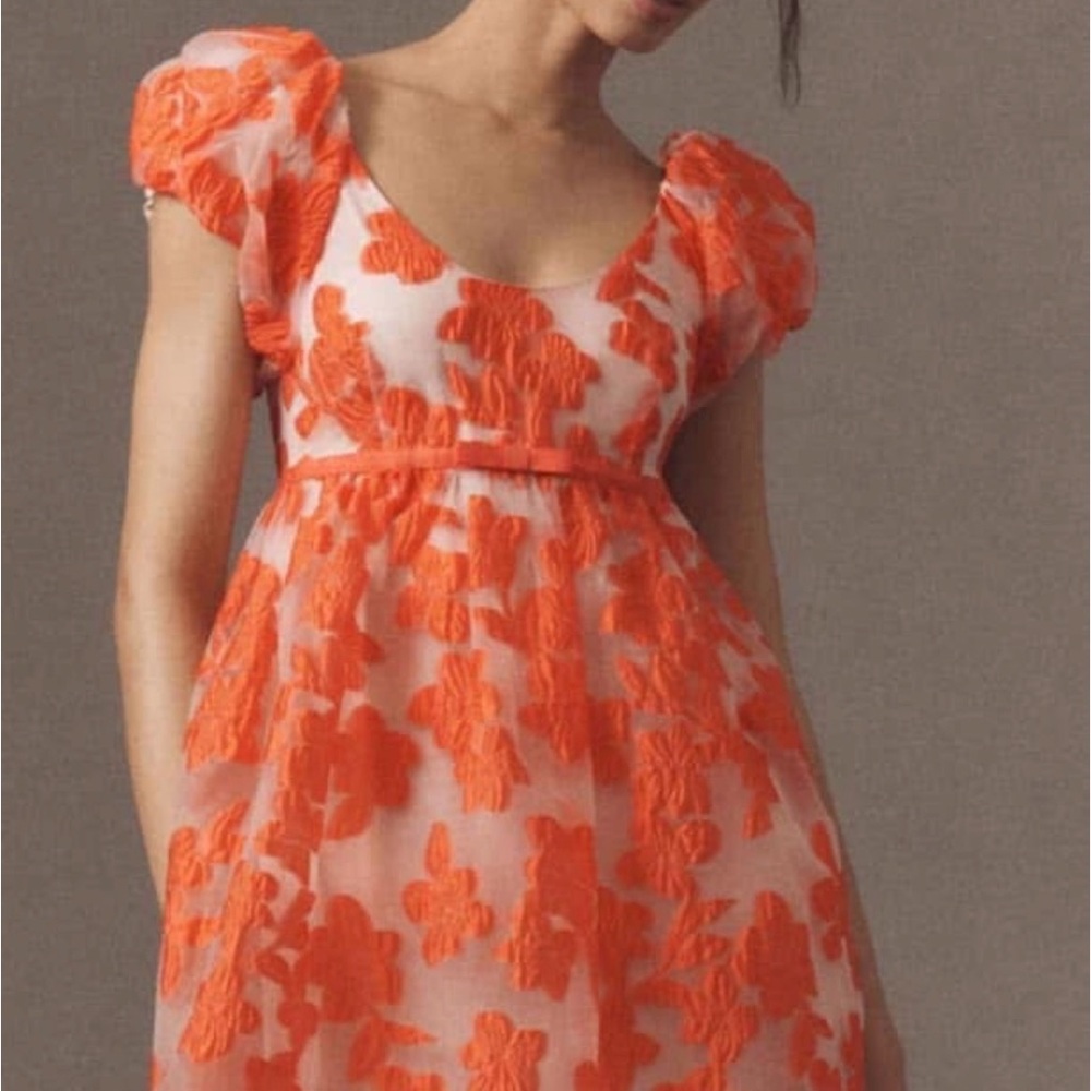 Anthroplogie Floral Embroidered Dress